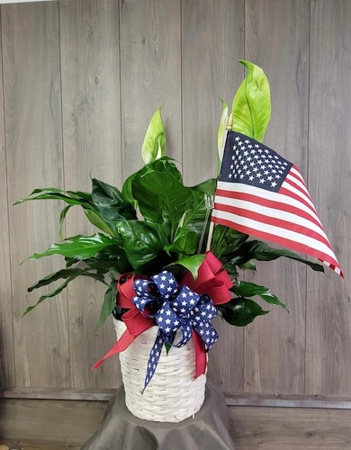 Patriotic Peace from Ginger's Flowers &Gifts, local Martinsburg florist