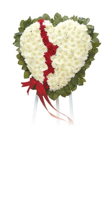 Broken Heart  from Ginger's Flowers &Gifts, local Martinsburg florist