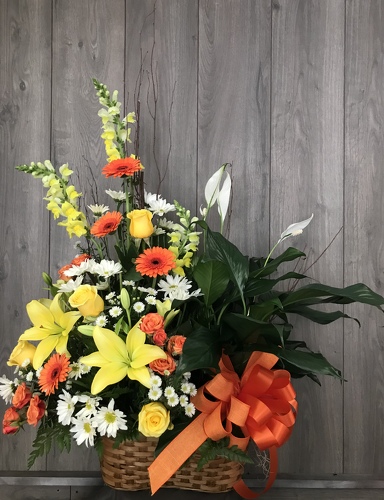 Fresh Arrangement and Plant Combo from Ginger's Flowers &Gifts, local Martinsburg florist