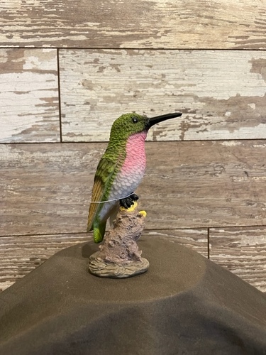 Hummingbird   from Ginger's Flowers &Gifts, local Martinsburg florist