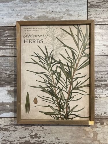 Rosemary Herb Picture  from Ginger's Flowers &Gifts, local Martinsburg florist
