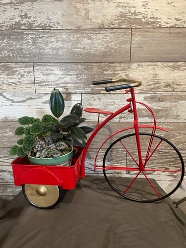 Bicycle Planter  from Ginger's Flowers &Gifts, local Martinsburg florist