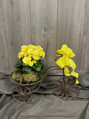 Bicycle Planter  from Ginger's Flowers &Gifts, local Martinsburg florist