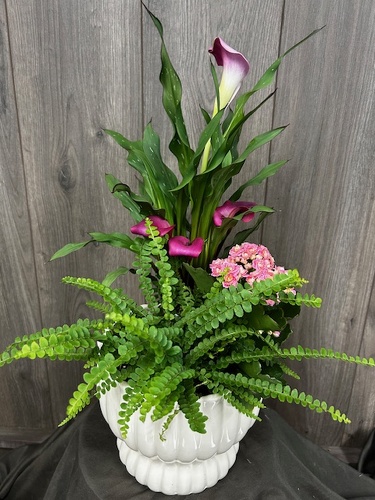 Calla Lily Garden from Ginger's Flowers &Gifts, local Martinsburg florist