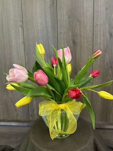 Tulip Bouquet from Ginger's Flowers &Gifts, local Martinsburg florist