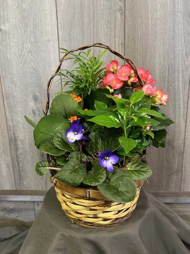 Flowering Garden from Ginger's Flowers &Gifts, local Martinsburg florist