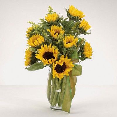 Sunflower Fields  from Ginger's Flowers &Gifts, local Martinsburg florist