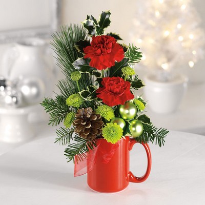 Santa's Cocoa Mug from Ginger's Flowers &Gifts, local Martinsburg florist