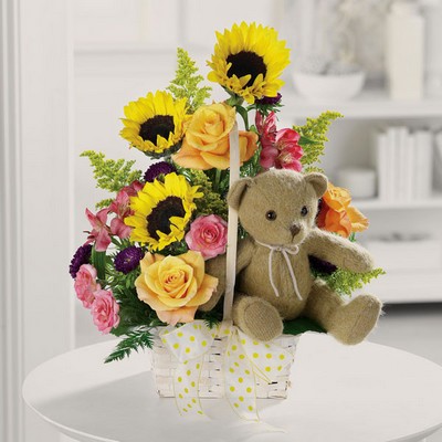 Teddy Bear Garden from Ginger's Flowers &Gifts, local Martinsburg florist